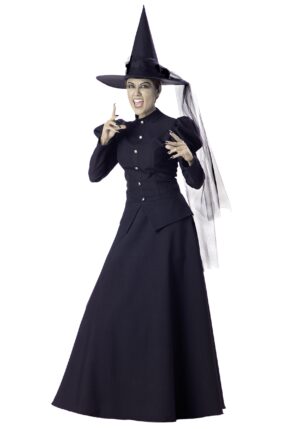 Witch Adult Costume