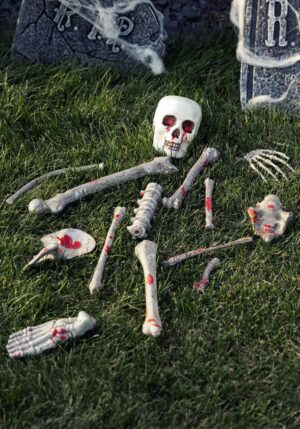 Set of 14 Bloody Skeletal Parts Decoration | Skeleton Decorations
