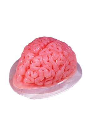 Gelatin 48 fl. oz Brain Mold | Halloween Decorations