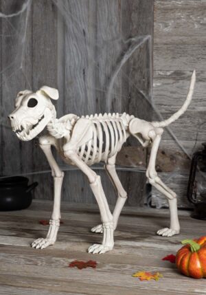 28-Inch Buster Bonez Dog Skeleton Decoration | Animal Skeletons
