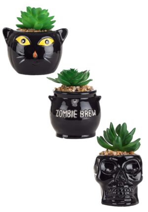 Cauldron, Cat & Skeleton Decorative Succulent Planter Set | Table Decorations