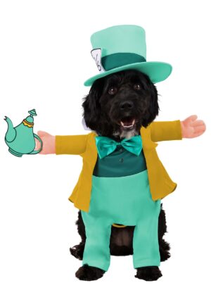 Classic Disney Pet Mad Hatter Costume | Disney Costumes