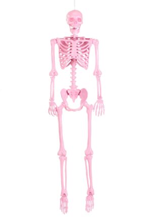 5' Poseable Crazy Bones Skeleton in Pink Halloween Prop