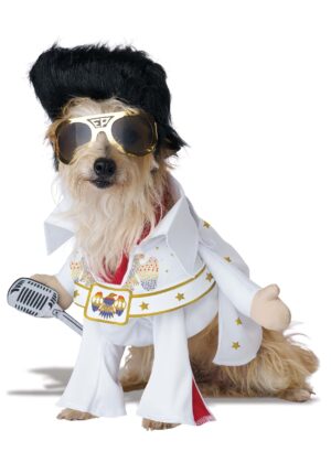 Pet Elvis Viva Vegas Costume | Celebrity Pet Costumes
