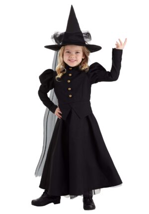 Toddler Deluxe Black Witch Girl's Costume
