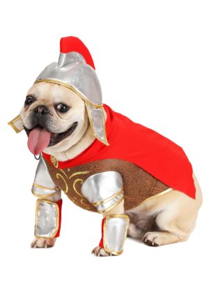 Gladiator Pet Costume | Halloween Pet Costumes