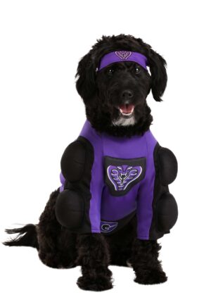 Dodgeball Globo Gym Costume for Pets | Movie Costumes