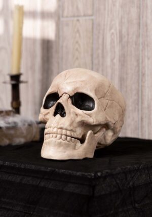 8-Inch Glow in the Dark Movable Skull Decoration | Skeleton Decorations