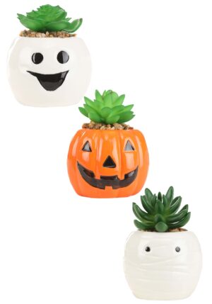 Halloween Ghost, Pumpkin, and Mummy Succulent Planter Decorative Set | Table Decorations