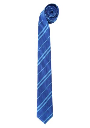 Harry Potter Ravenclaw Basic Necktie | Harry Potter Accessories