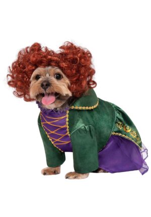 Disney Winifred Sanderson Hocus Pocus Pet Costume | Disney Pet Costumes