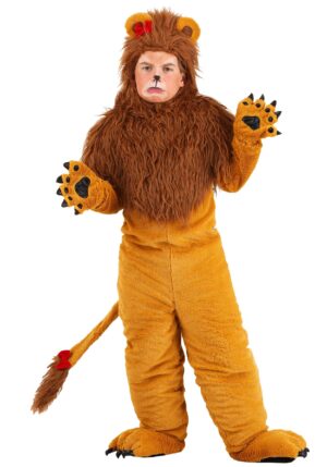 Child Storybook Lion Costume | Storybook Costumes