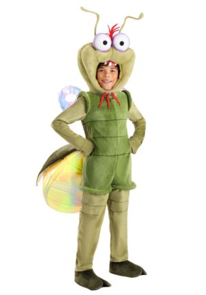 Deluxe Disney Princess and the Frog Kid's Ray Costume | Disney Costumes