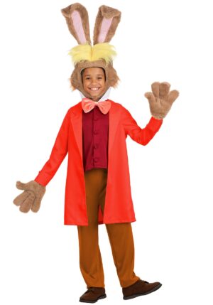 Disney Alice in Wonderland Boy's March Hare Costume | Disney Costumes