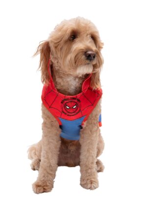 Marvel Spider-Man Costume Pet Hoodie | Pet Costumes