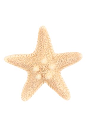 Mermaid Starfish Accessory Hair Clip | Mermaid Accessories