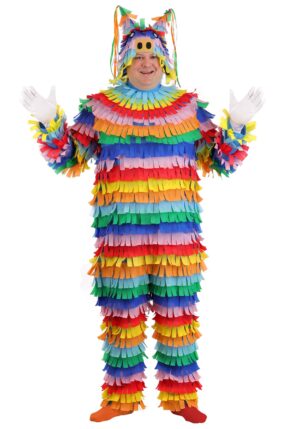 Plus Size PiÃ±ata Adult Costume | Funny Costumes