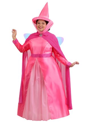 Women's Plus Size Disney Sleeping Beauty Flora Costume | Disney Costumes