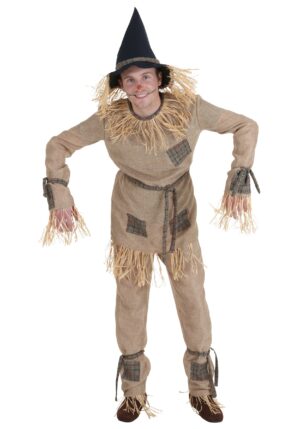 Plus Size Silly Scarecrow Men's Costume