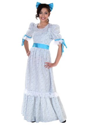 Women's Plus Size Storybook Wendy Costume Dress | Storybook Costumes