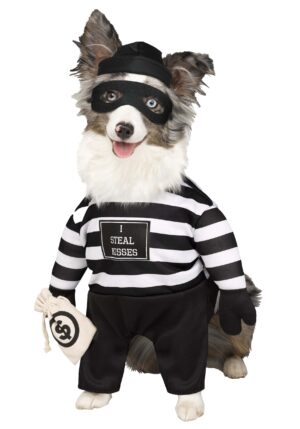 Robber Pup Costume for Pets | Pet Costumes