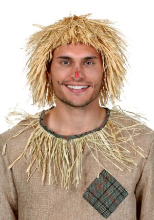 Scarecrow Adult Costume Wig | Scarecrow Accessories