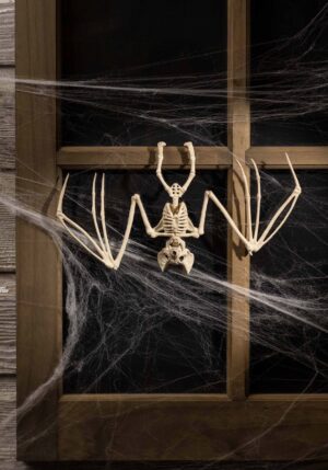 11-Inch Skeleton Bat Halloween Decoration | Animal Skeletons