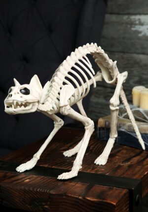 10.5-Inch Cat Skeleton Bones Decoration | Animal Skeletons