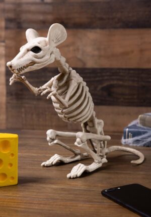 11-Inch Rat Skeleton Decoration | Animal Skeletons