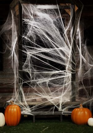 800 Square Feet White Spider Web Prop | Spider Decorations