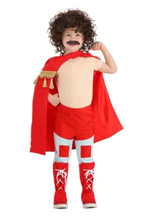 Lovable Luchador Boy's Toddler Costume | Movie Costumes