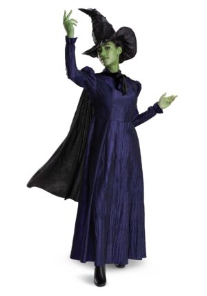 Adult Wicked Deluxe Elphaba Costume | Wicked Costumes