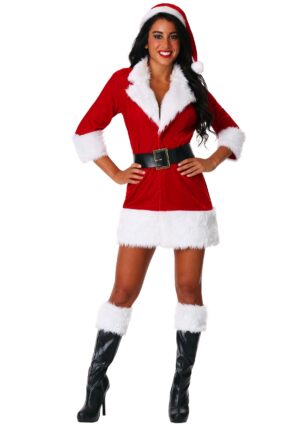 Secret Santa Womens Costume | Holiday Costumes