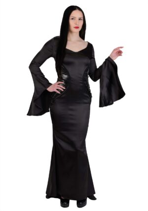 The Addams Family Women's Morticia Costume Dress | TV Show Costumes